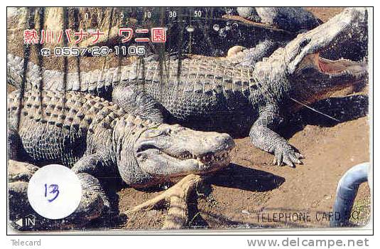 Télécarte JAPON *  KROKODIL Crocodile (3) Animal * REPTILE * PHONECARD JAPAN - Crocodiles Et Alligators