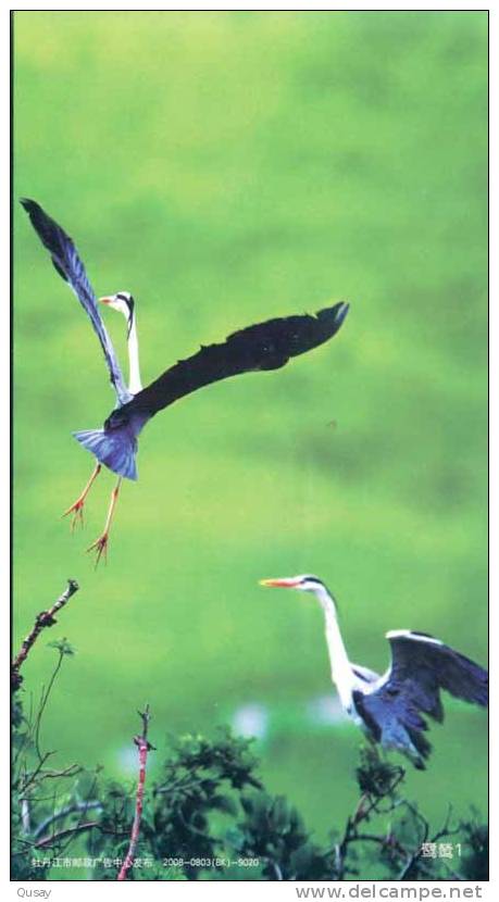 Bird Storks  ,  Prepaid Card , Postal Stationery - Cigognes & échassiers