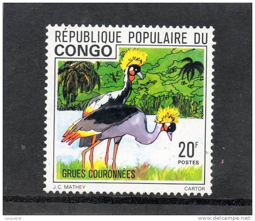 CONGO : Oiseau -GRUES COURONNEES (Balearica Pavonina) -Famille Des Grues - Kranichvögel