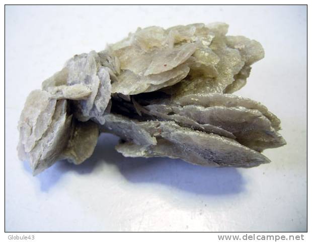 GYPSE  10 X 6 Cm  ESPAGNE - Minerales
