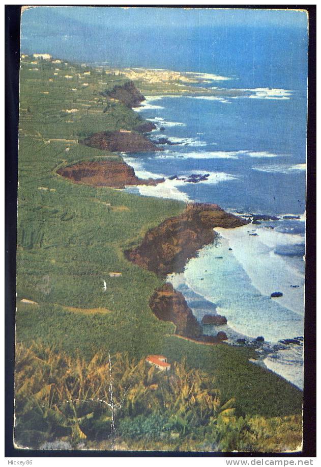 Espagne--TENERIFE--datée 1987--Costa  De Puerto De La Cruz - Tenerife