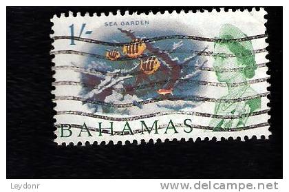 Bahamas - Sea Garden - Scott # 213 - Bahama's (1973-...)