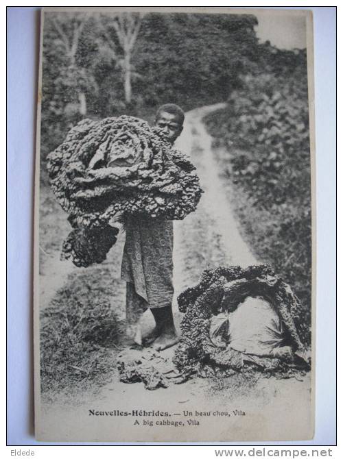 New Hebrides Vila Un Beau Chou, A Big Cabbage - Vanuatu