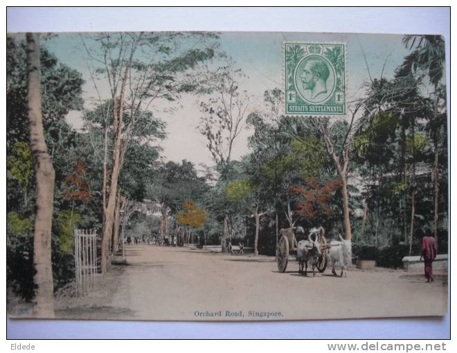 Singapore Orchad Road 83 With Bullock Carts - Singapour