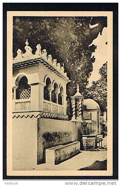 3 Early Postcards Alger Algiers Algeria Ex France Colony - Mosquee De Hamma - Allee Des Cactus - L'Archeveche - Ref 278 - Algiers