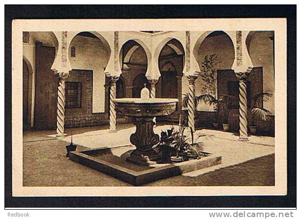 3 Early Postcards Alger Algiers Algeria Ex France Colony - Mosquee De Hamma - Allee Des Cactus - L'Archeveche - Ref 278 - Algiers