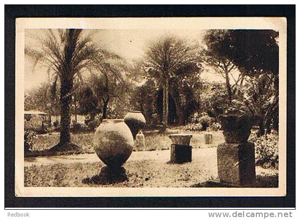 Early Postcards Tipaza Villa Tremaux & Basilique Judiciaire - Algeria Ex France Colony - Ref 278 - Other & Unclassified