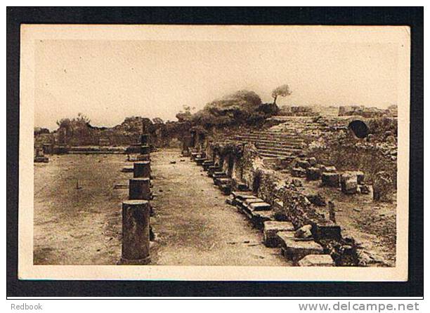 Early Postcards Tipaza Villa Tremaux & Basilique Judiciaire - Algeria Ex France Colony - Ref 278 - Other & Unclassified