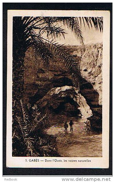 Early Postcard Gabes - Dans L'Oasis Les Voutes Naturelles Algeria Ex France Colony - Ref 278 - Other & Unclassified