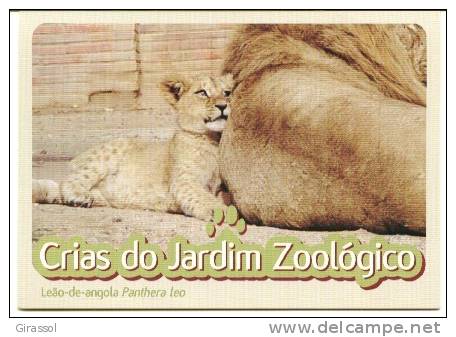 CPM LION Lionceau D' ANGOLA Petit D´animaux Portugal Jardin Zoologique Loterie Populaire - Lions