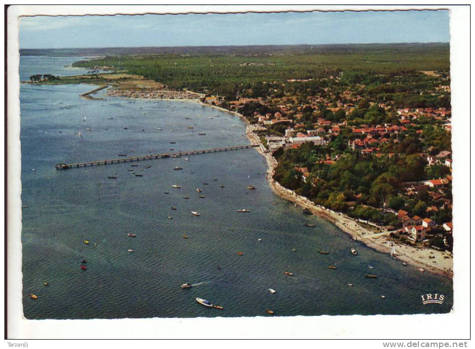CPSM Du Bassin D' Arcachon. Andernos Les Bains (Gironde 33): Vue D'ensemble - Andernos-les-Bains