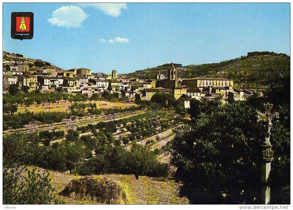 Vista General De  Vallbona De Las Monjas ( Lérida), Post Card, Postal, - Lérida