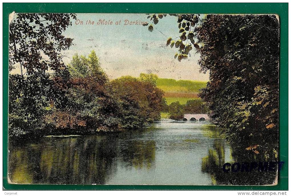 UK - On The Mole At Dorking - VALENTINE 1905 POSTCARD Sent To BUENOS AIRES - Surrey