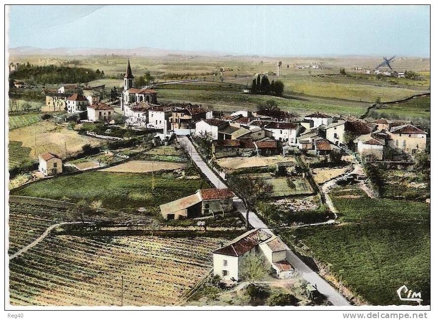 D81 -  SENOUILLAC  -  VUE GENERALE AERIENNE  - (GF) - Salvagnac