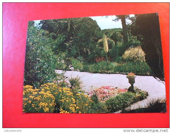 CPM -ANGLETERRE-TRESCO GARDENS SCILLY.CARTE EN BON ETAT. - Sonstige & Ohne Zuordnung