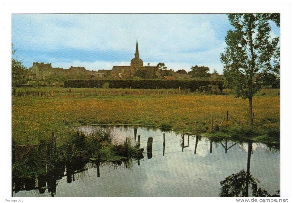 CPM De Moisdon La Rivière   L Etang De La Forge Et L Eglise Au Fond - Moisdon La Riviere