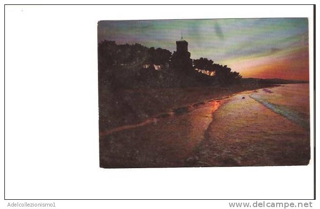 16147)cartolina Illustratoria  Silvi Marina - Tramonto - Pescara