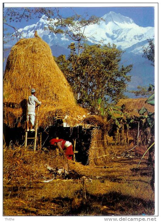 NEPAL Mt. Annapurna - Népal