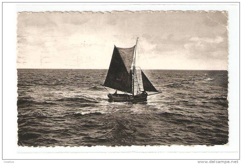 Knokke - Zoute 1956.Bateau De Pêche,Vissersboot,Fisherman Boat,Barco Do Pescador. - Visvangst