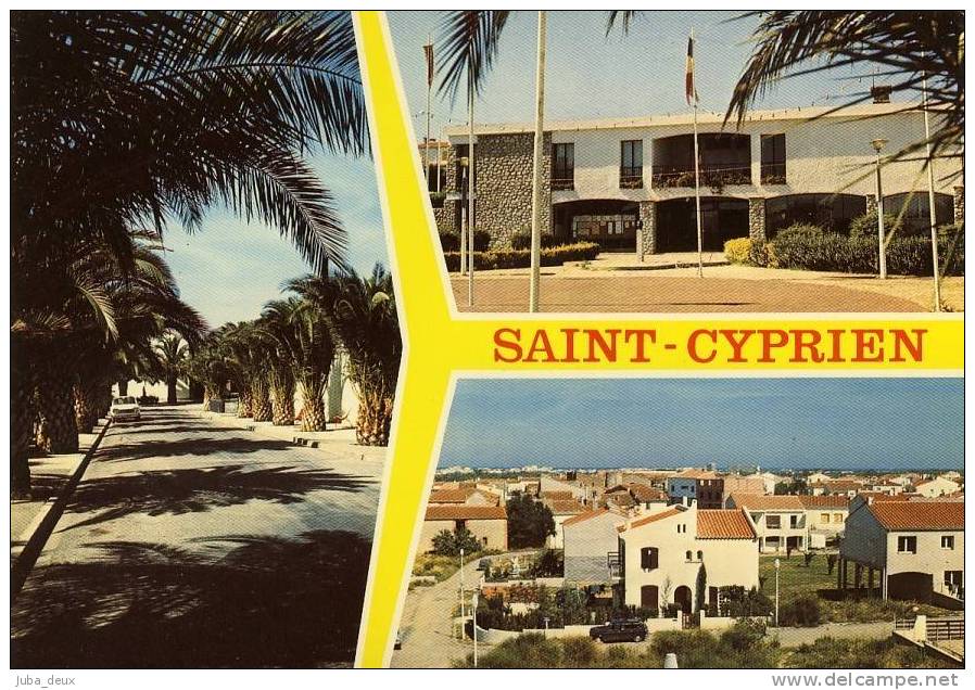 Saint Cyprien .  Avenue Des Palmiers , Mairie Et Vue Générale . - Saint Cyprien
