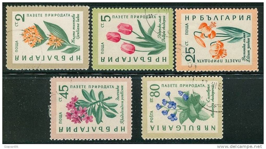 ● BULGARIA  -  Rep. Pop. - 1960  -  FIORI  - N.  1018 . . . .  Usati ,  Serietta  -  301 - Used Stamps