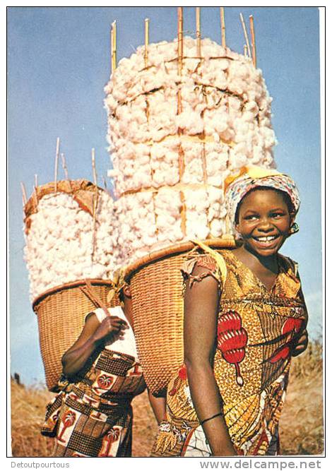 Afrique Récolte Du Coton Jeune Fille - Non Classificati