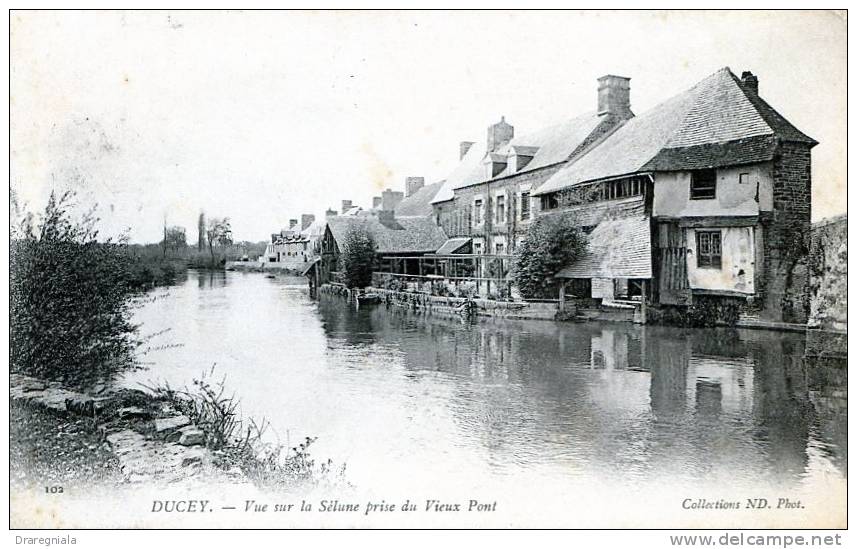 Ducey - Vue Sur La Sélune Prise Du Vieux Pont - Ducey