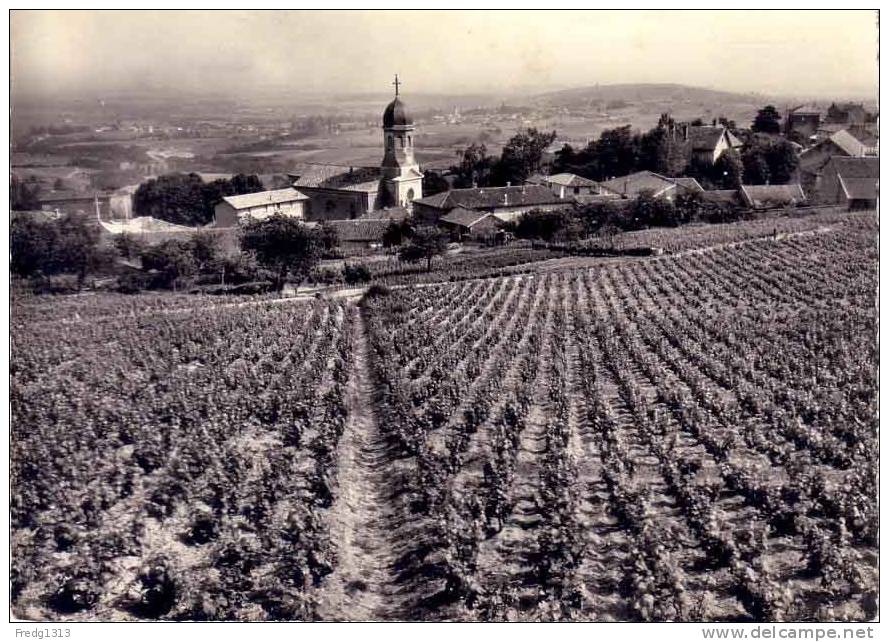 Chiroubles - Vue Generale - Chiroubles