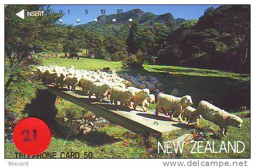 Télécarte Nouvelle-Zélande Sur JAPON (21) SHEEP MOUTONS *  Telefonkarte - Phonecard  NEW ZEALAND Related - Japan - Otros & Sin Clasificación