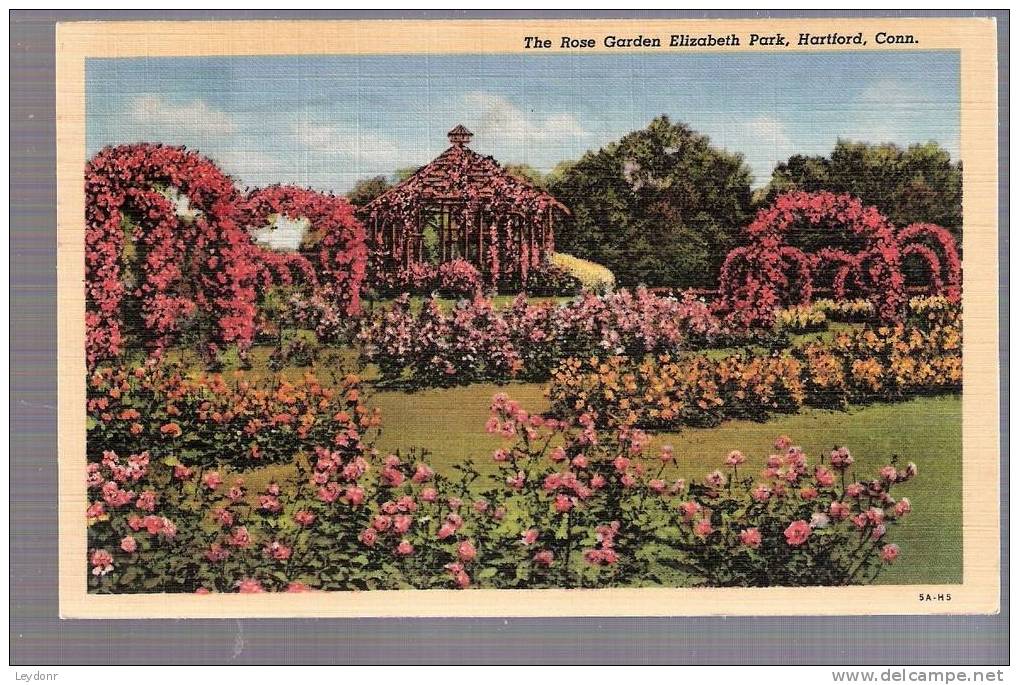 Connecticut - The Rose Garden, Elizabeth Park, Hartford - Postmarked 1944 - Other & Unclassified