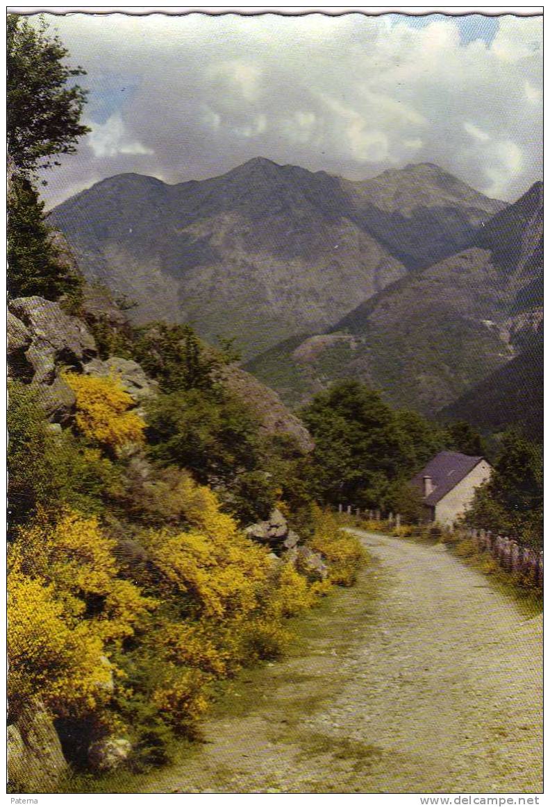 Postal, Valle De Arán ( Lérida) - Lérida