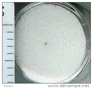 - METEORITE – BISHOPVILLE - USA - MICRO (AUBRITE) CHUTE HISTORIQUE OBSERVEE LE 25 MARS 1843 - Météorites