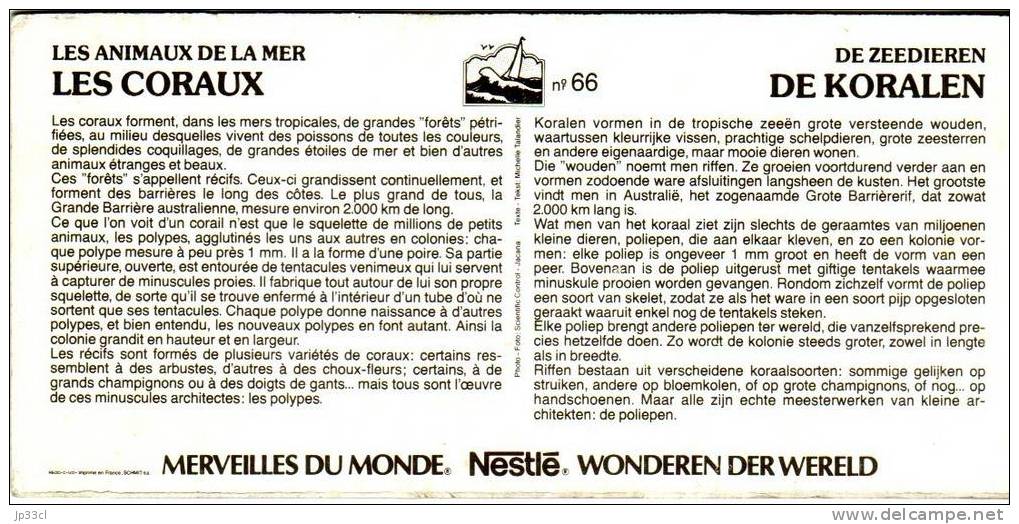 Chromo Nestlé Merveilles Du Monde N° 66 - Les Coraux (de Koralen) - Nestlé