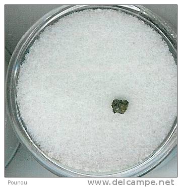 - METEORITE – KARGAPOLE - RUSSIE - MICRO (H4) TROUVEE EN JUILLET 1961 - Meteorites