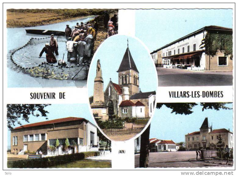 Souvenir De VILLARS LES DOMBES - Villars-les-Dombes