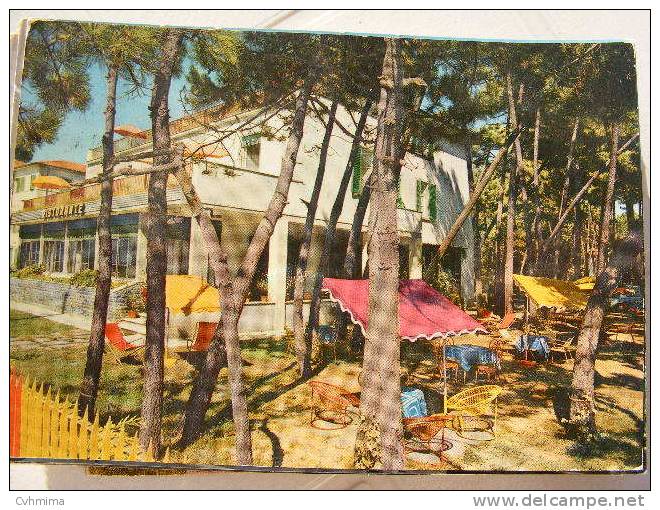 Marina Di Massa Hotel Marvivo VB 1962 - Massa