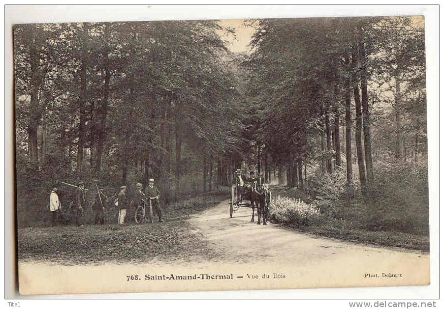 T581 - Saint Amand  Thermal - Vue Du Bois - Saint Amand Les Eaux