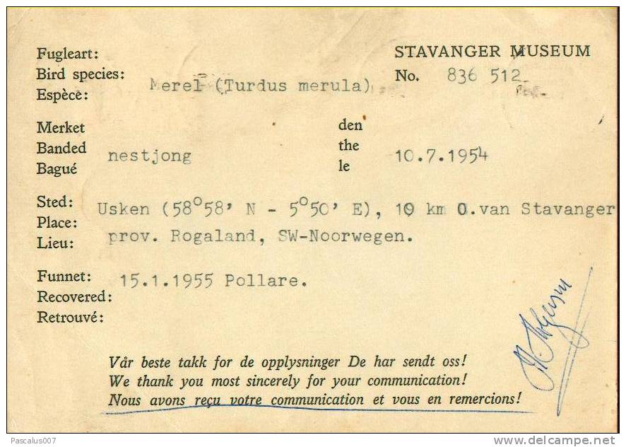A00031 - Carte Postale Norvège - 21-01-1955 - 1.95 - Brieven En Documenten