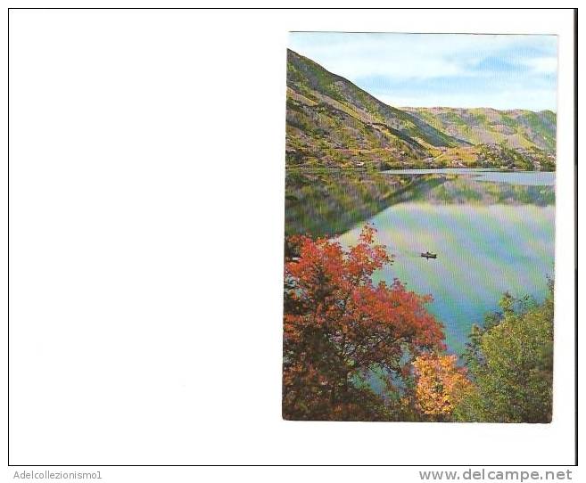 16450)cartolina Illustratoria  Lago Di Scanno - Panorama - Ascoli Piceno