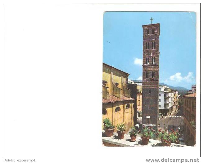 16471)cartolina Illustratoria  Velletri - Torre Del Trevio - Velletri