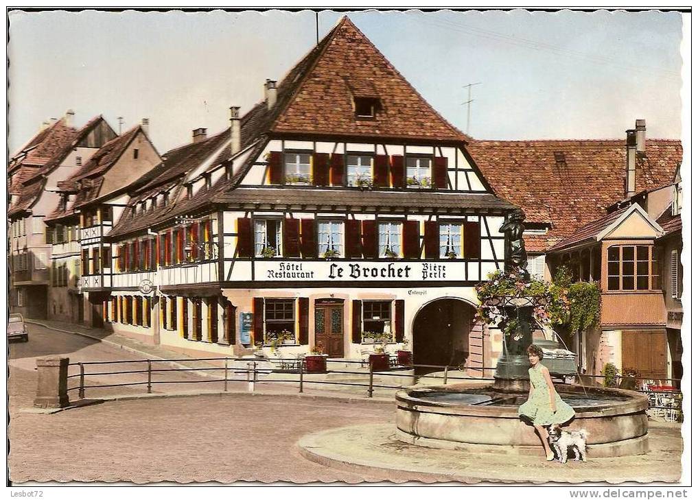 Cpsm, Barr (Bas-Rhin), Hôtel Restaurant Du Brochet, Animée - Barr