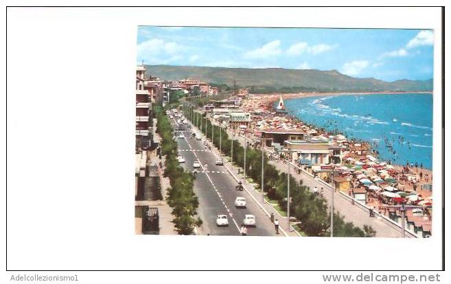 16706)cartolina Illustratoria  Pescara - Lungomare E  Spiaggia - Pescara