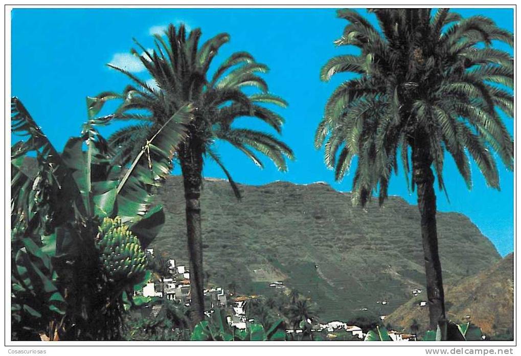 ESPAÑA SPAIN ESPAGNE LA GOMERA HERMIGUA LOS ROQUES  AÑOS 60/70  MAS EN MI TIENDA. - Gomera