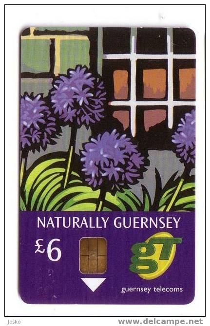 NATURALLY GUERNSEY  ( Guernsey Rare Card ) * Guernsey Telecoms - Jersey En Guernsey