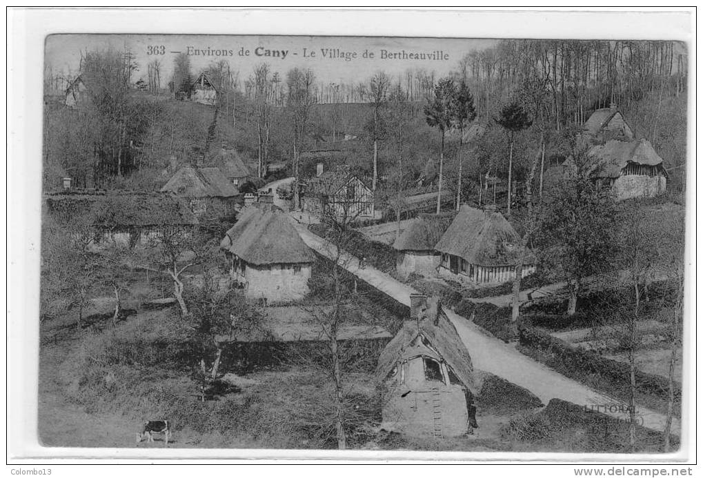 76 ENVIRON DE CANY LE VILLAGE DE BERTHEAUVILLE - Cany Barville