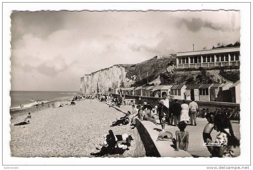 SEINE-MARITIME  /  VEULES-les-ROSES  /   LA  PLAGE  ET  LE  CASINO - Veules Les Roses