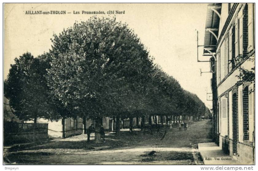 89 - CPA Aillant-sur-Tholon - Les Promenades, Côté Nord - Aillant Sur Tholon