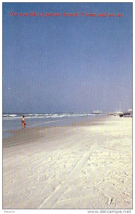 Daytona Beach Florida Floride - Neuve Mint - Daytona