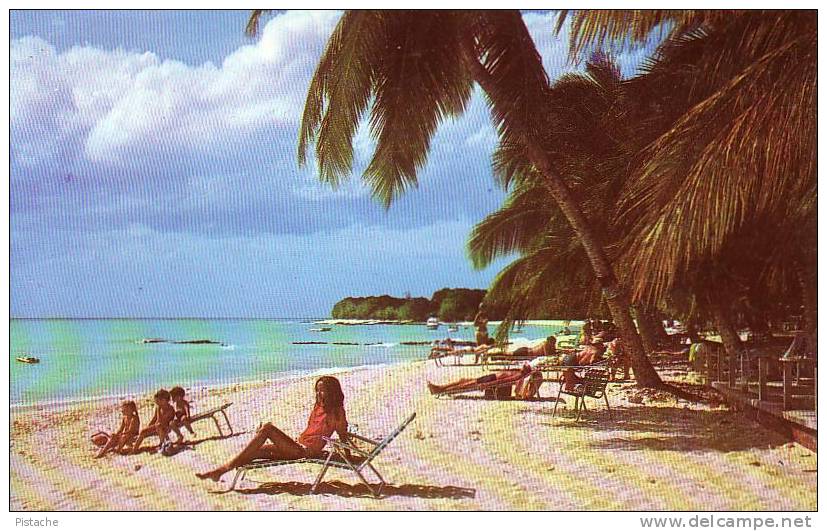 Barbades Barbados - Paradise Beach - Mer Sea - Barbades