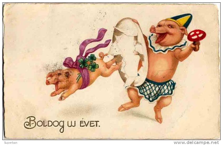 COCHON HABILLÉ, ATTITUDE HUMAINE Avec CHAMPIGNON - SCÈNE DE CIRQUE - SUPERBE ILLUSTRATION - ANNÉE: ENV. 1925 (b-568) - Schweine
